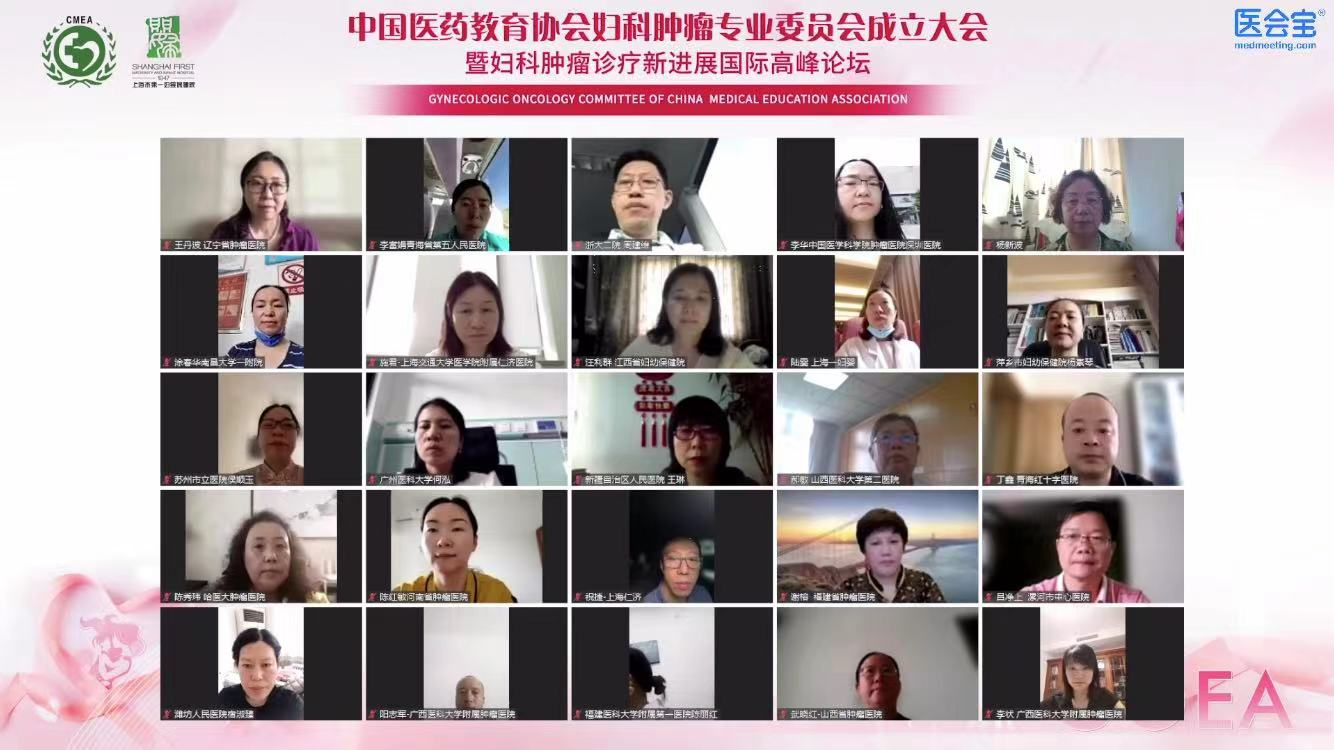 汇智聚力，共促发展！中国医药教育协会妇科肿瘤专业委员会成立大会成功举行