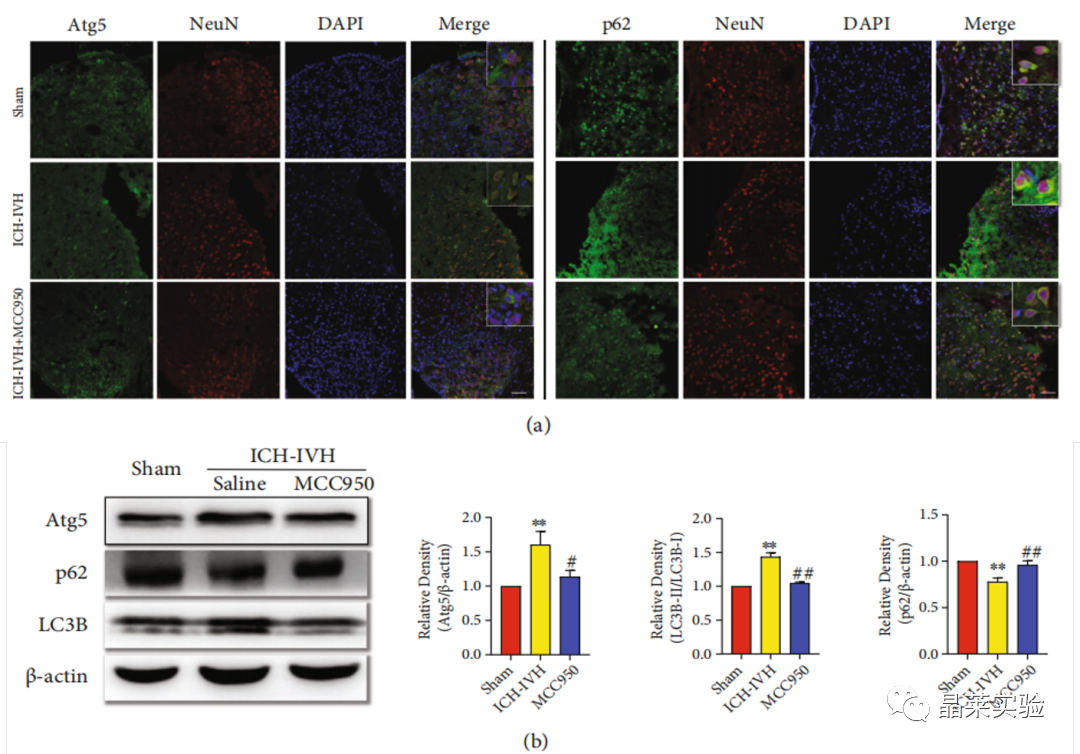 技术资料图片10