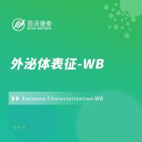 外泌体表征-WB