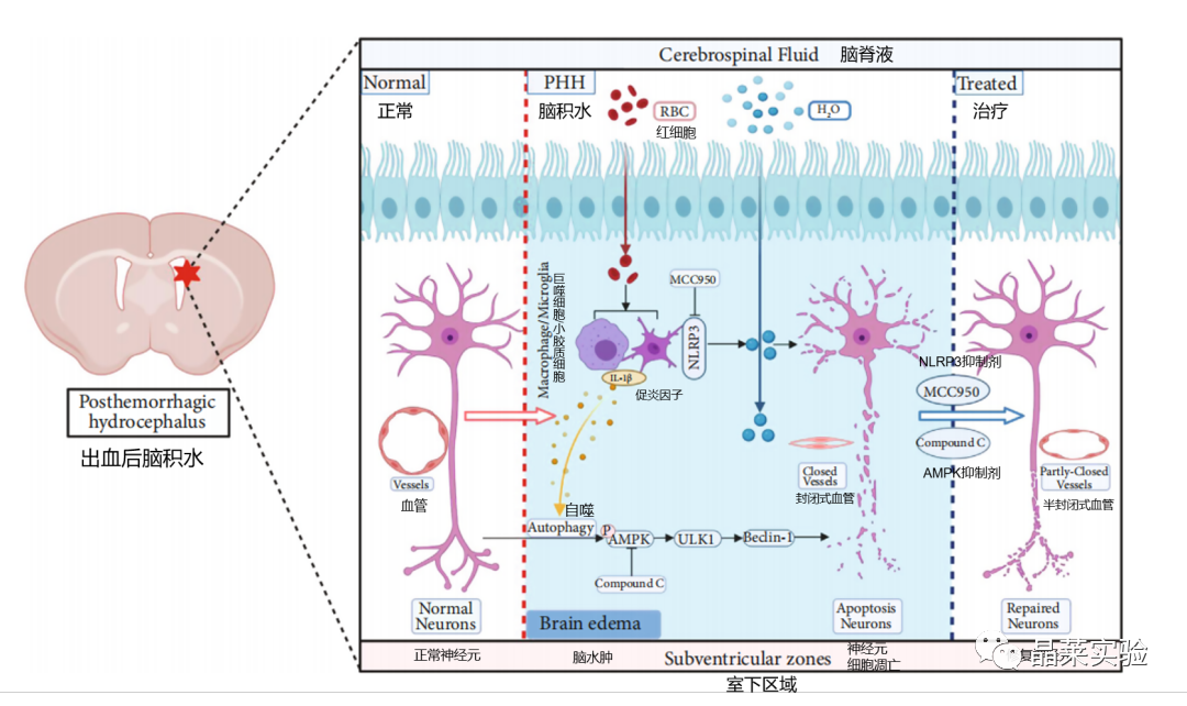 技术资料图片17
