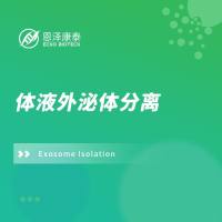 体液外泌体分离