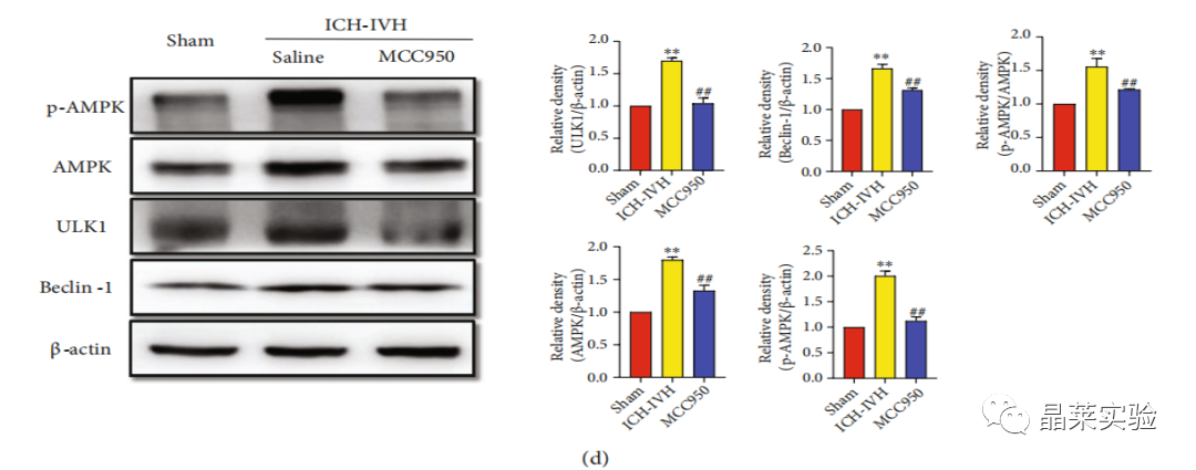 技术资料图片13