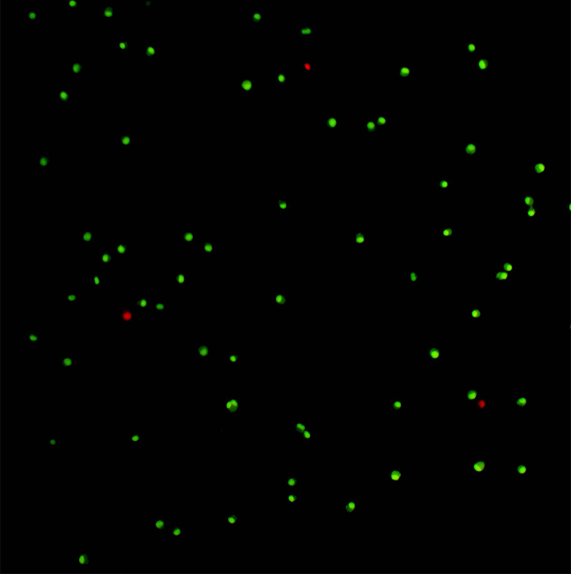 全自动荧光细胞分析仪--性能参数，报价/价格，图片_生物器材网