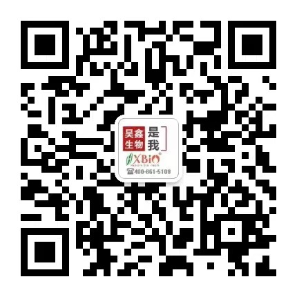 Agrisera部分植物光合作用抗体产品线，大促啦！