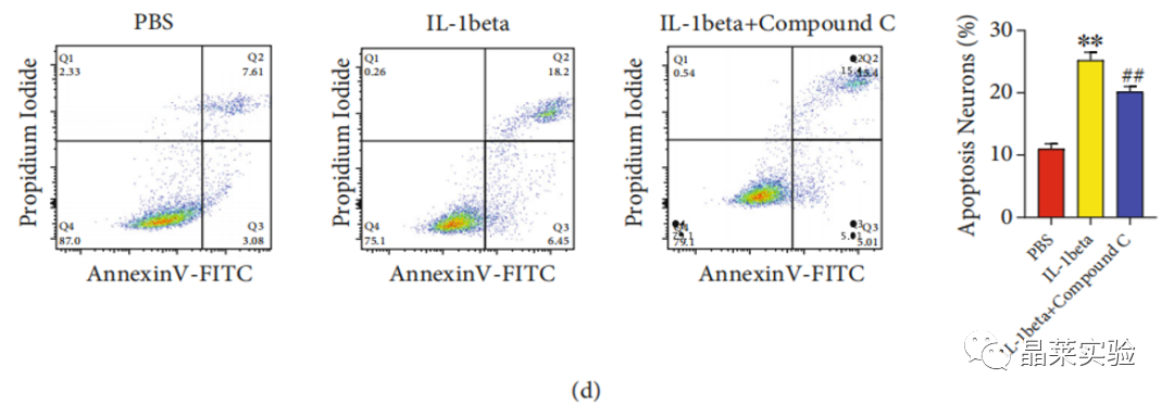 技术资料图片16