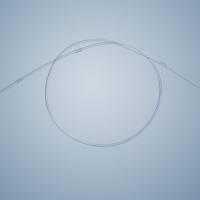 大鼠胆管插管(BDC)