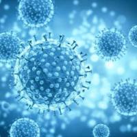 转铁蛋白修饰脂质体(多肽、氨基酸等表面修饰脂质体)