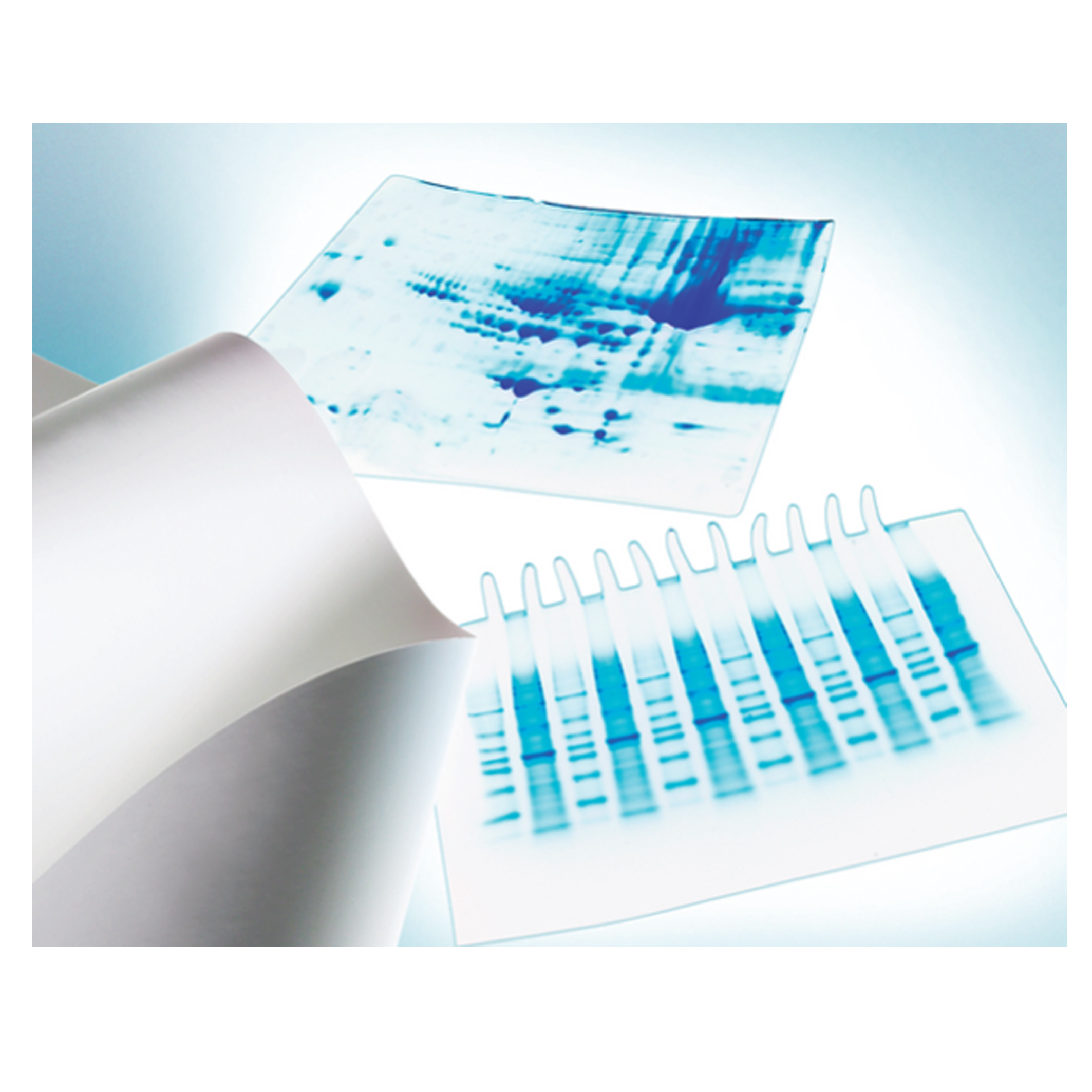 密理博Millipore IPVH00010 PVDF膜 2