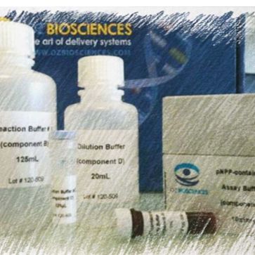 OZ biosciences  SEAP 检测试剂盒