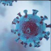 Mouse anti-(MPXV)A29 monoclonal antibody(MPXV-1)