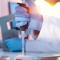 功能化透明质酸的改性/HA-SH/ Hyaluronate-THiOl