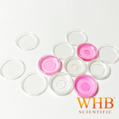 WHB 厂家供应  TC处理共聚焦培养板 6孔，透明培养板，灭菌