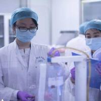 PLL-FITC 荧光素标记多聚赖氨酸 FITC-PLL 现货