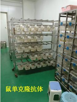新闻图片3