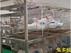 新闻图片5