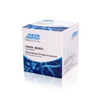 重组小鼠白介素7(rmIL-7 )