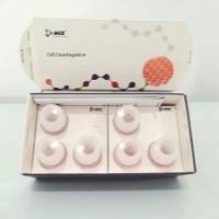  Cell Counting Kit-8  cck8试剂盒（CCK8） 可比日本同仁