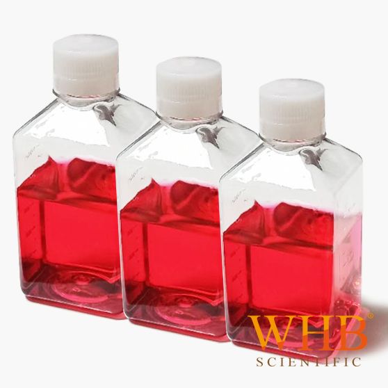 厂家供应WHB 250ml血清瓶，方形血清瓶，250ml培养基瓶，血清瓶生产厂家