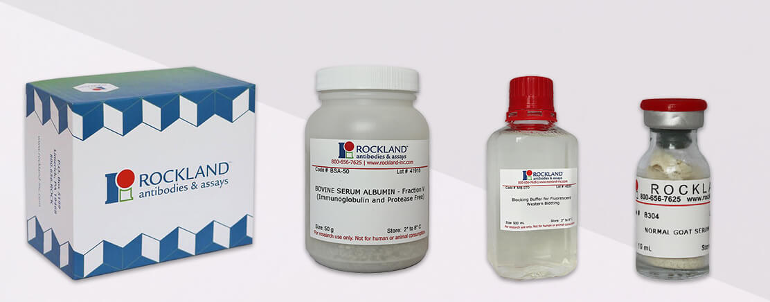 Rockland品牌介绍，浙江省一级代理昊鑫生物