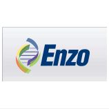 CHO host cell protein ELISA kit/ENZ-KIT128-0001