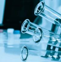 PLAG-PEG-scd4/聚乳酸-羟基乙酸共聚物-聚乙二醇-多配体蛋白聚糖