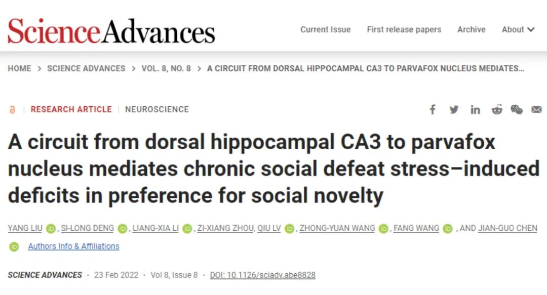 【客户文章】华中科技大学同济医学院王芳、陈建国揭示慢性应激导致小鼠社交新颖性损伤的神经环路机制