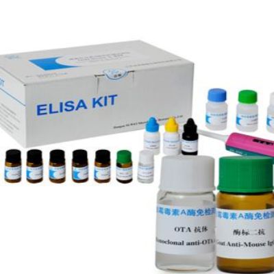 人弹性蛋白酶(Elastase)ELISA Kit 
