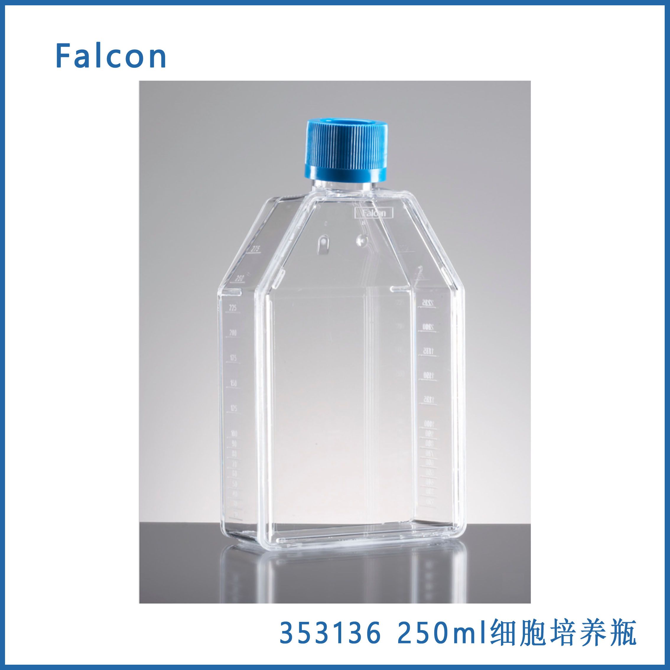 Falcon 353136  250ml斜颈75cm²矩形斜颈TC 细胞培养瓶，带通风盖