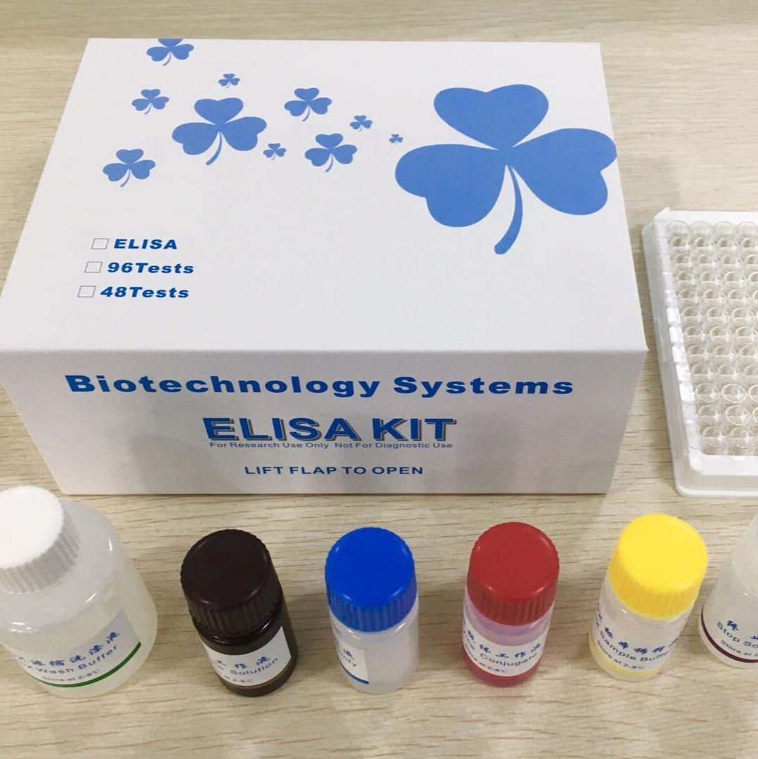  人/大鼠/小鼠细胞因子ELISA试剂盒