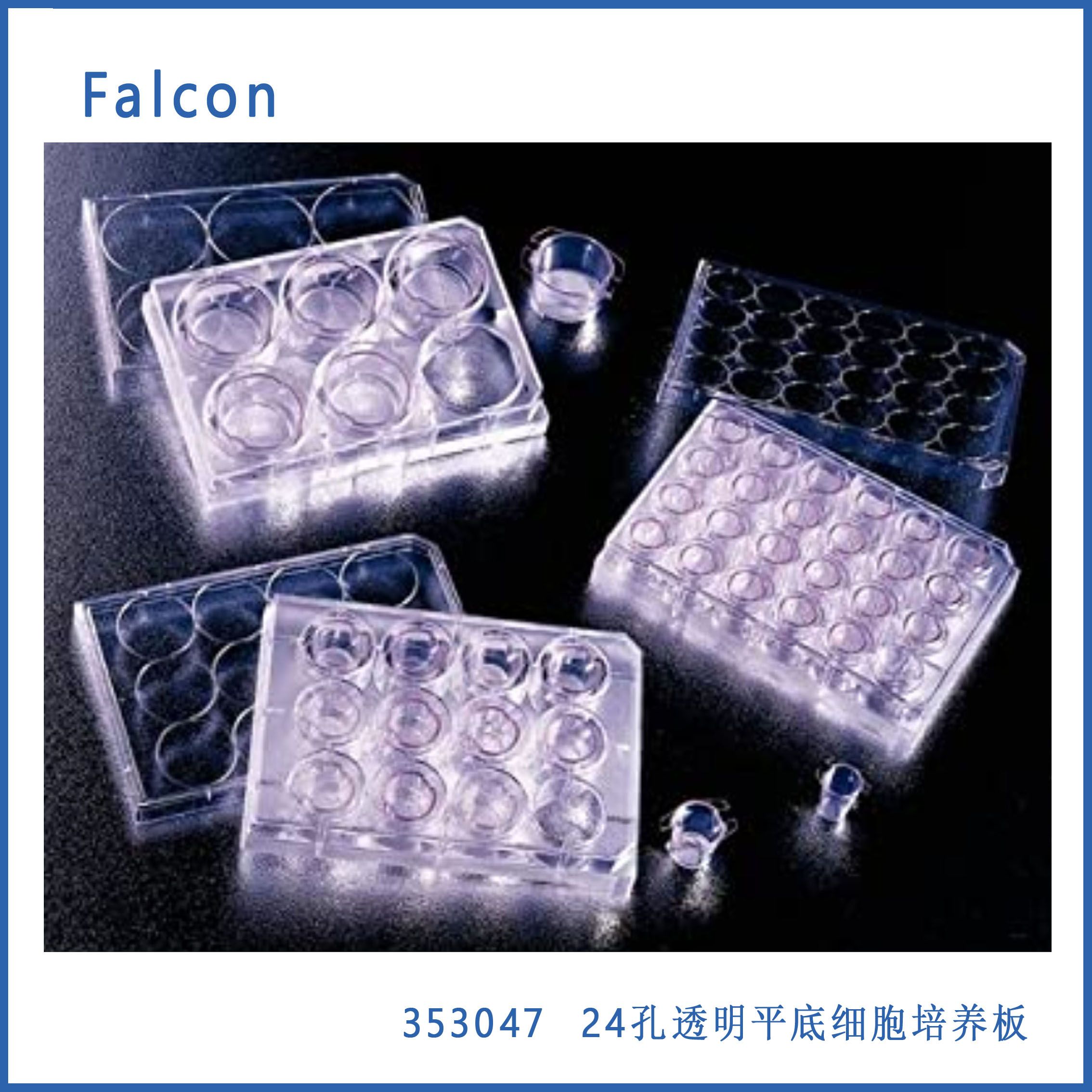Falcon 353047  24孔透明平底，组织培养处理的带盖多孔细胞培养板，非热原性，无菌，单独包装
