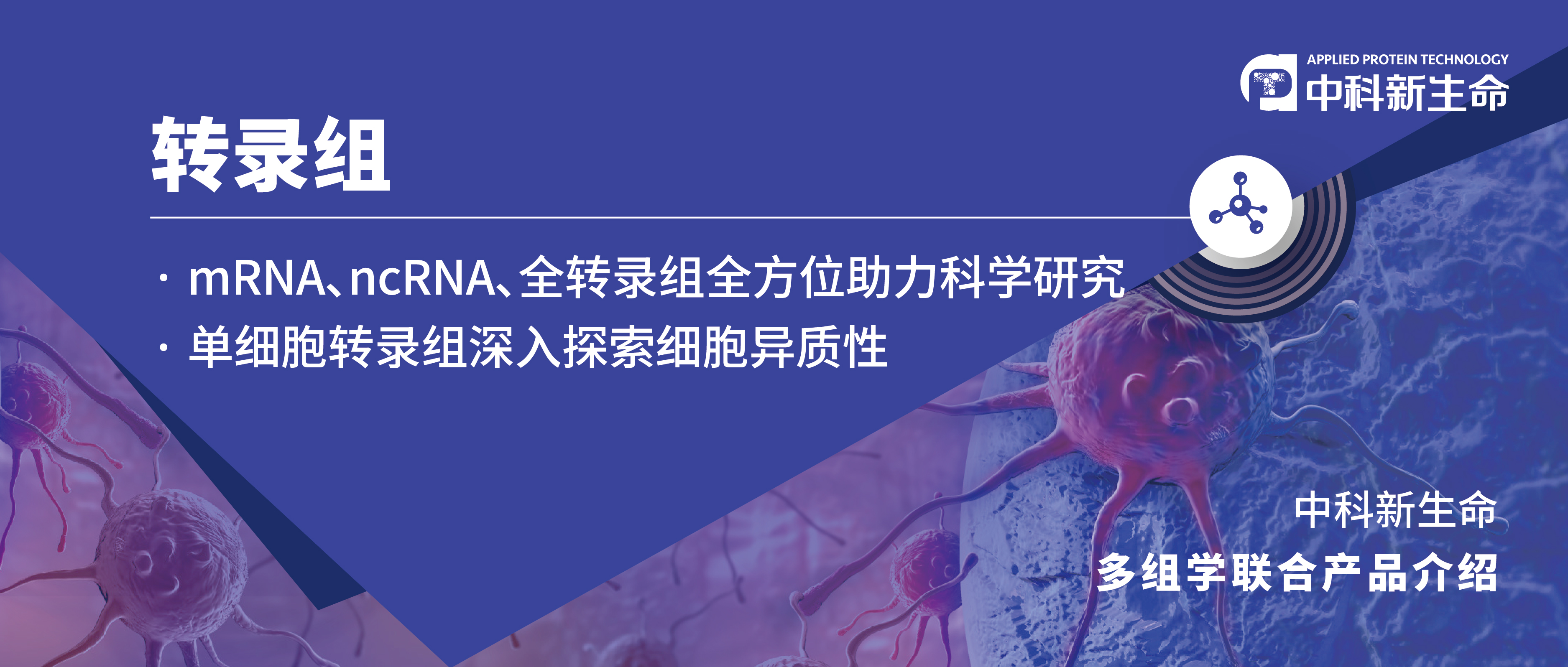 项目文章 | 转录组测序助力徐辉雄教授团队成果登陆Nature Communication