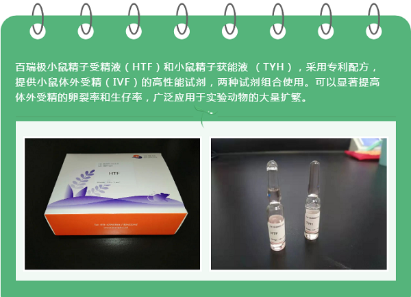 百瑞极小鼠精子受精液（HTF）和获能液 （TYH）：小鼠体外受精的高性能试剂