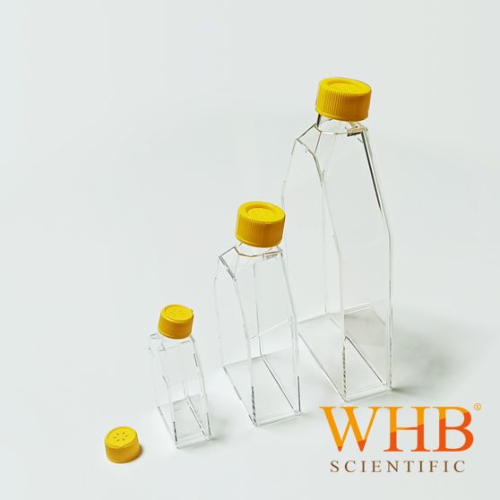WHB   TC处理细胞培养瓶  灭菌 