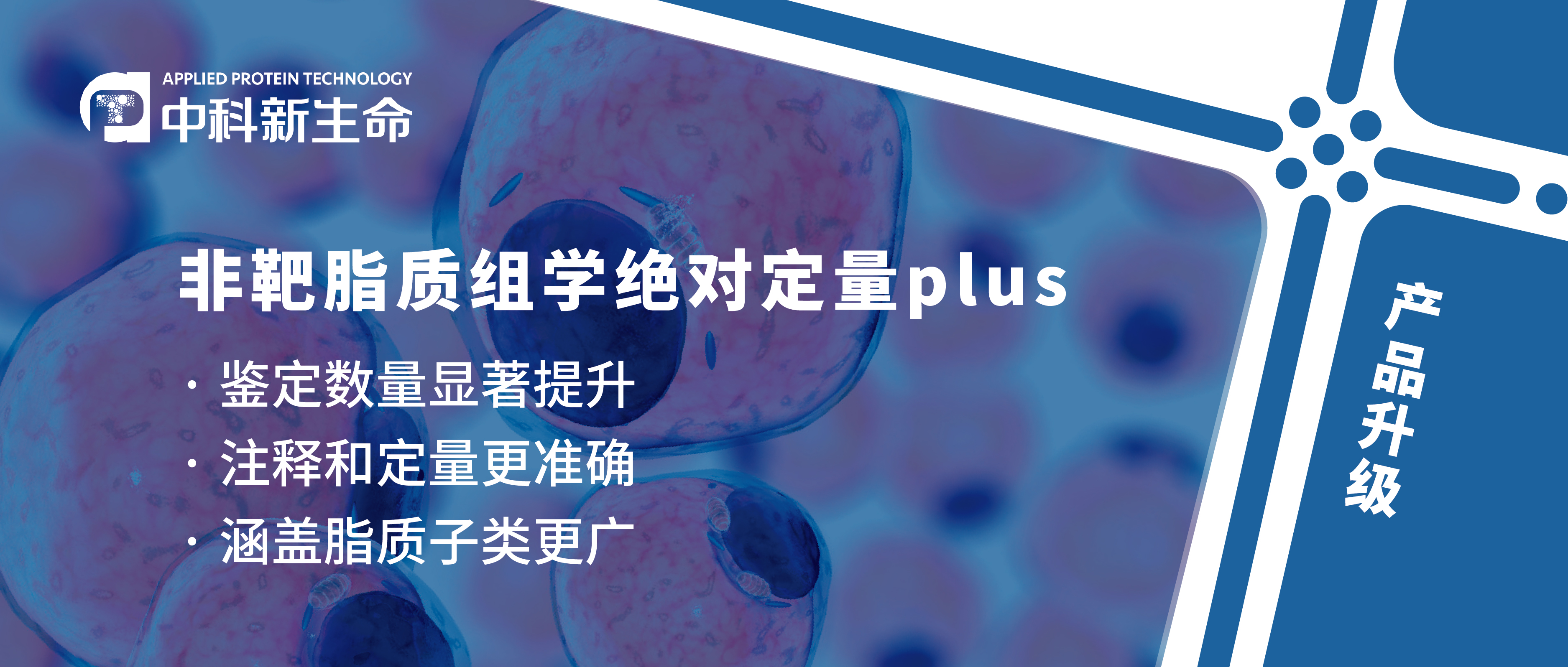 重磅升级 | 非靶脂质组学绝对定量plus鉴定数量显著提升！