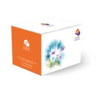 增强型慢病毒包装试剂盒Lentiviral Packaging Kit