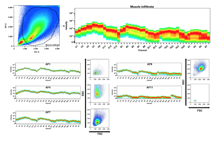 多重自发荧光提取，Cytek带你深度解析炎症组织中的髓系细胞