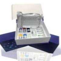 辅酶ⅠNAD(H)含量检测试剂盒_可见分光光度法