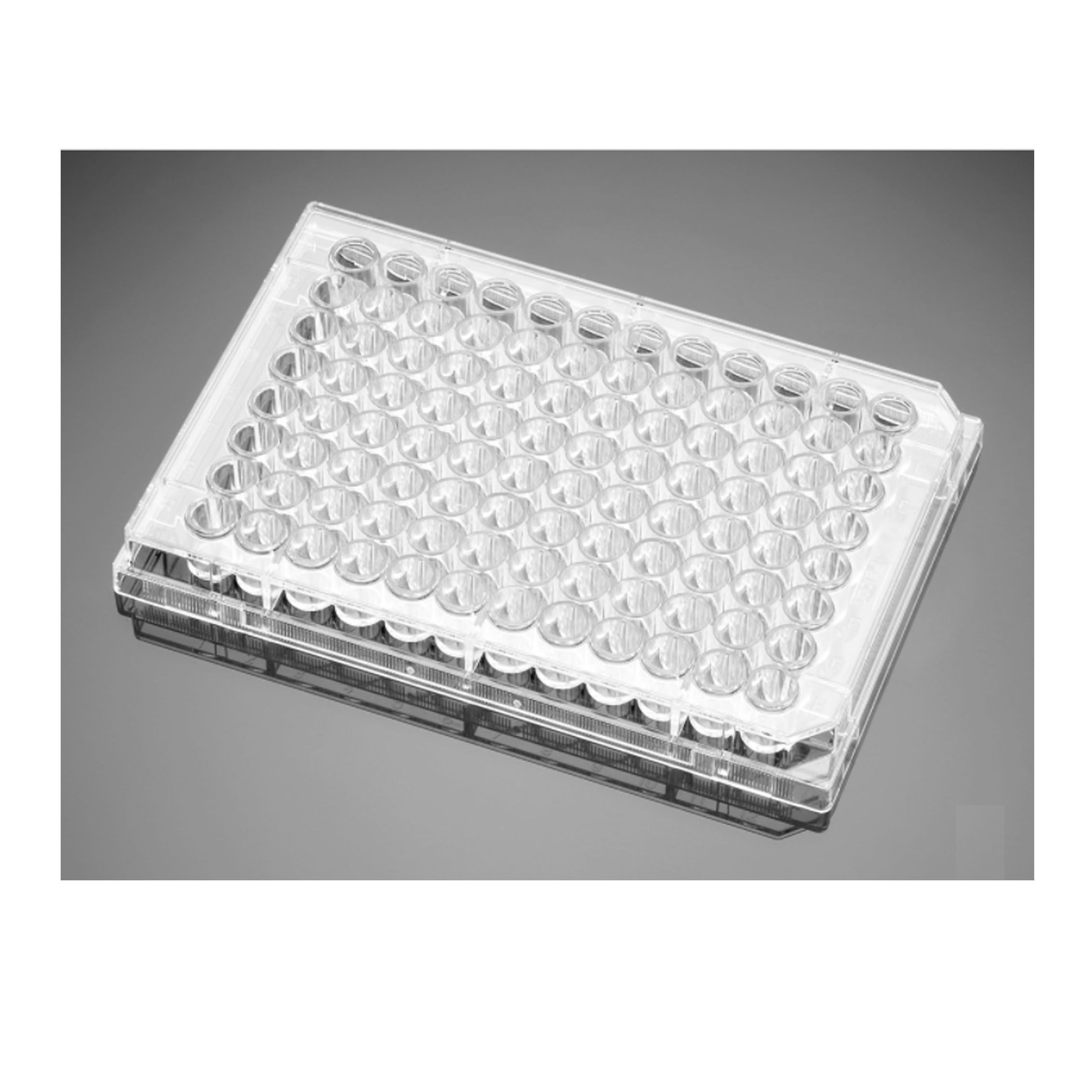 Corning Falcon 351172 96孔透明平底未处理细胞培养微板，带盖，单独包装，无菌，50/箱