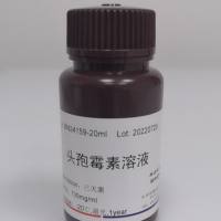 头孢霉素溶液(100mg/ml)