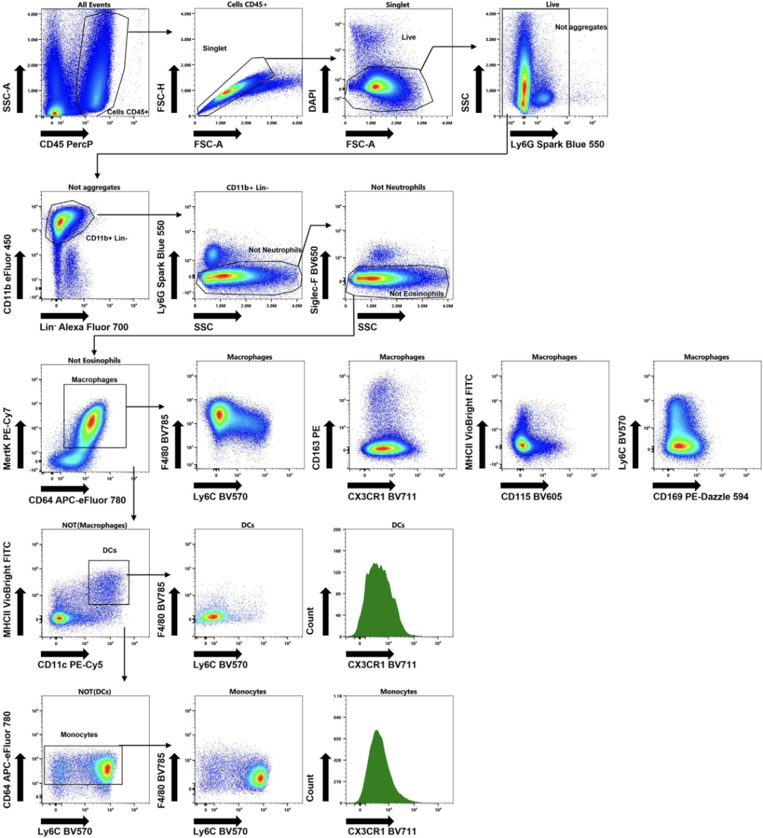 多重自发荧光提取，Cytek带你深度解析炎症组织中的髓系细胞