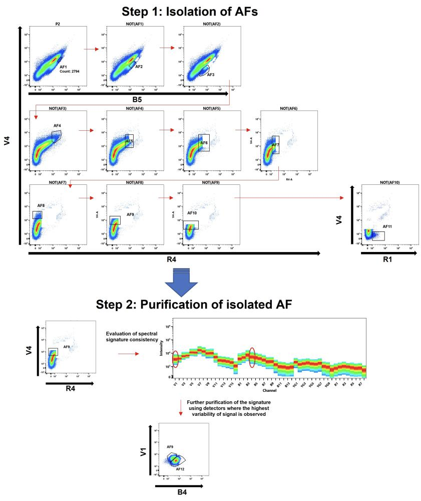 多重自发荧光提取，Cytek带你深度解析炎症组织中的髓系细胞