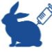 兔单抗SingleB®快速发现-兔单抗-兔单克隆抗体制备