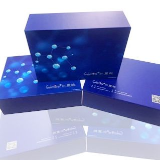 硫氧还蛋白过氧化物酶(TPX)测试盒_可见分光光度法