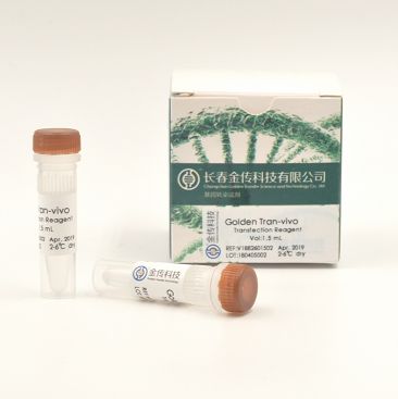 GoldenTran-Vivo转染试剂
