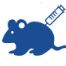 鼠单抗SingleB®快速发现-鼠单克隆抗体-鼠源性抗体制备