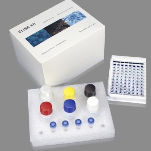 人抗弓形体IgM抗体(anti-tox IgM)ELISA Kit 