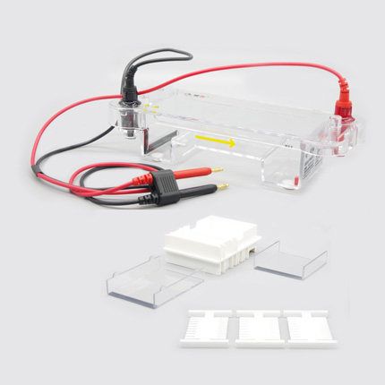 迷你水平电泳仪