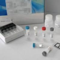 人血栓调节蛋白(TM)ELISA Kit