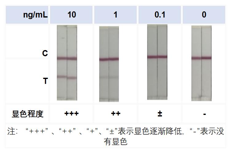 新闻图片4