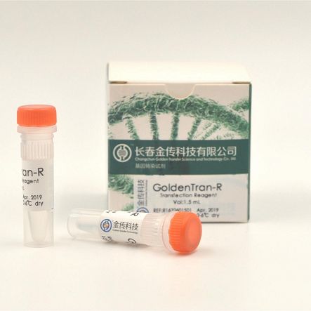 GoldenTran-R转染试剂